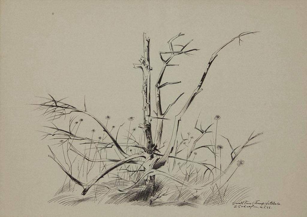 Carl Fellman Schaefer (1903-1995) - Small Pine Stump