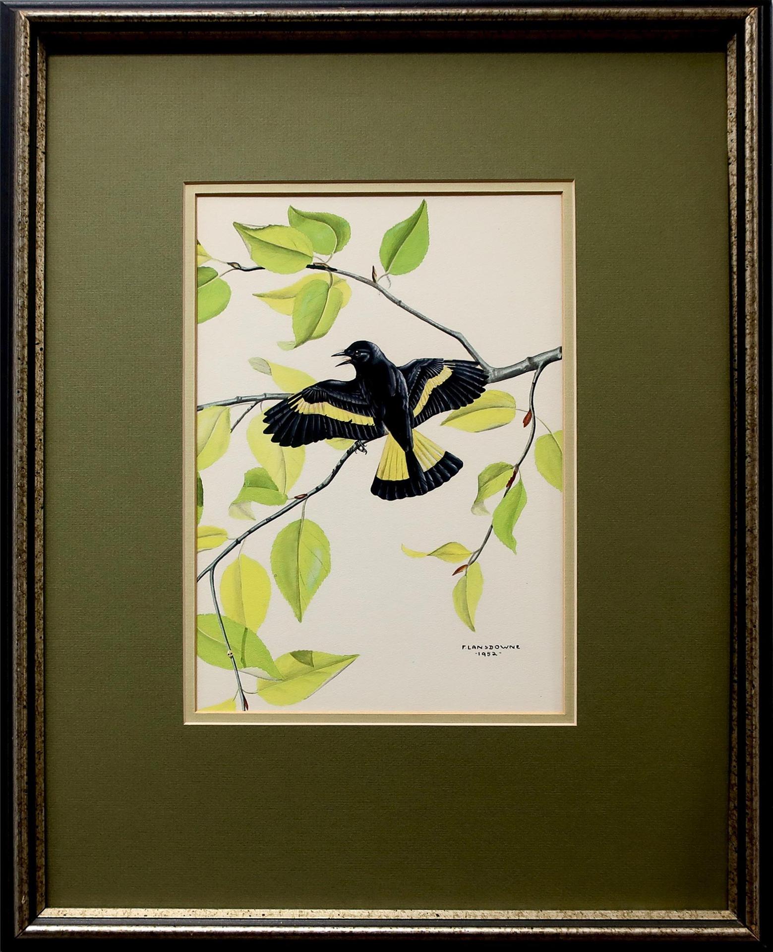 James Fenwick Lansdowne (1937-2008) - Untitled (Black Bird With Yellow Striped Wings And Tail)