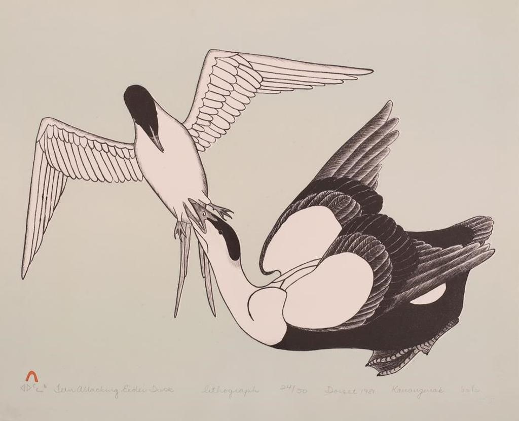 Kananginak Pootoogook (1935-2010) - Tern Attacking Eider Duck; 1981