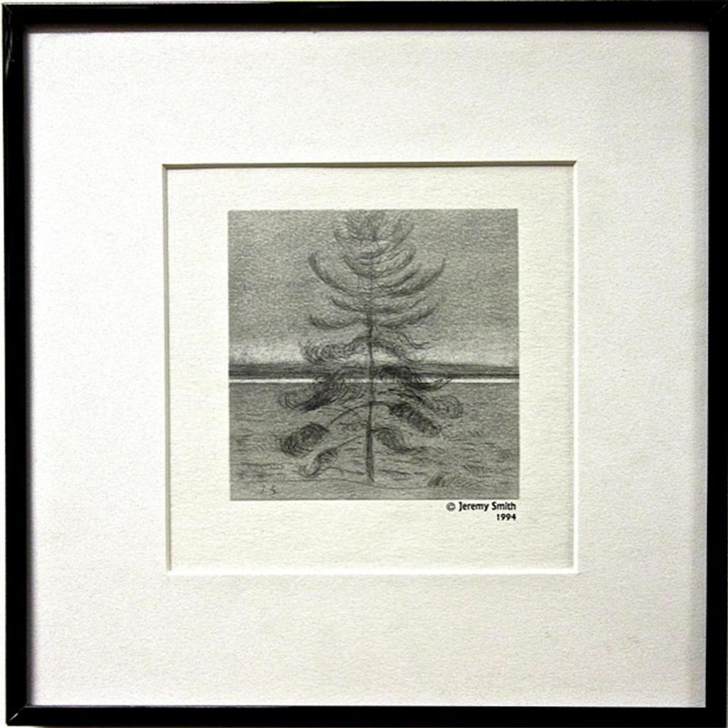 Jeremy Lawrence Smith (1946) - Pine Tree