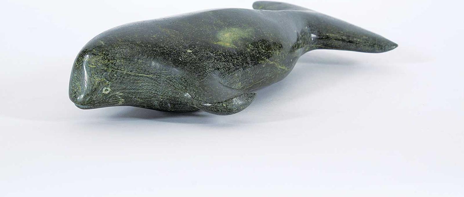 Karpik - Untitled - Young Whale