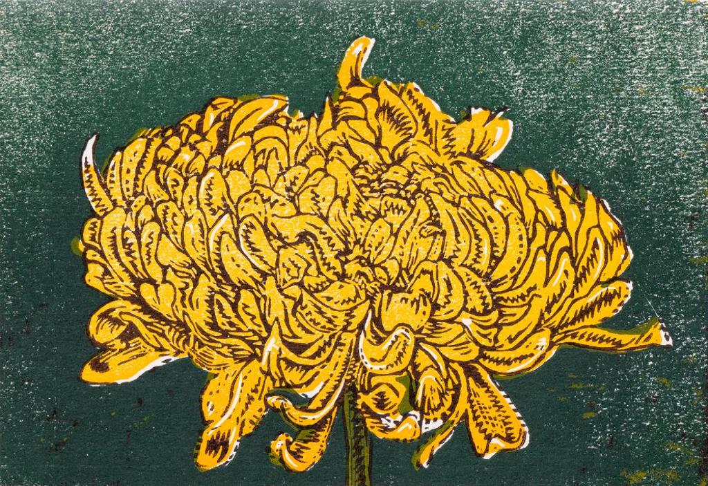 Don McVeigh (1951) - Chrysanthemum