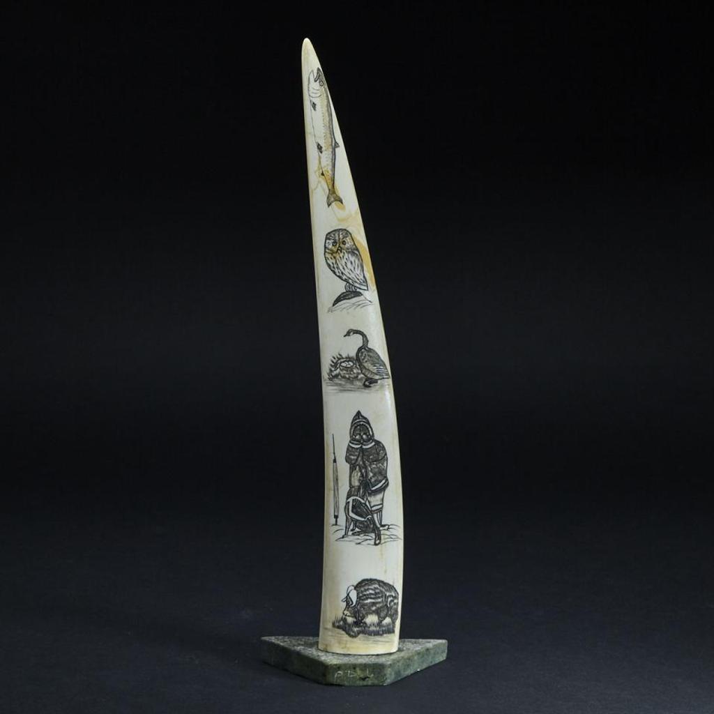 Kiawak (Kiugak) Ashoona (1933-2014) - Carved Tusk With Incised Arctic Scenes