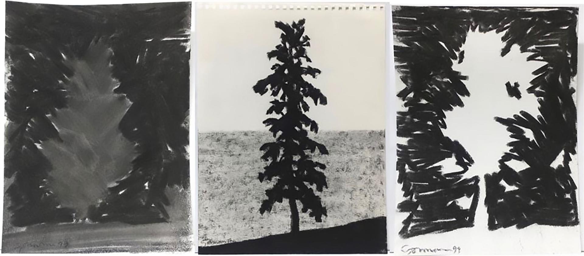 Richard Borthwick Gorman (1935-2010) - Untitled (Tree Studies)
