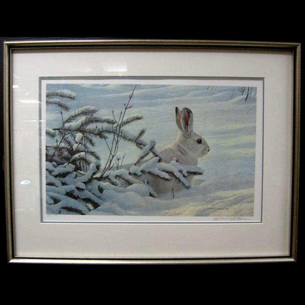 Robert Mclellan Bateman (1930-1922) - Winter - Snowshoe Hare
