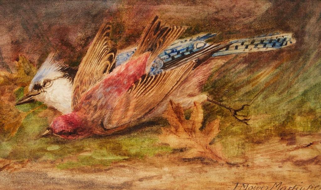 Thomas Mower Martin (1838-1934) - Still Life of Cardinal and Blue Jay