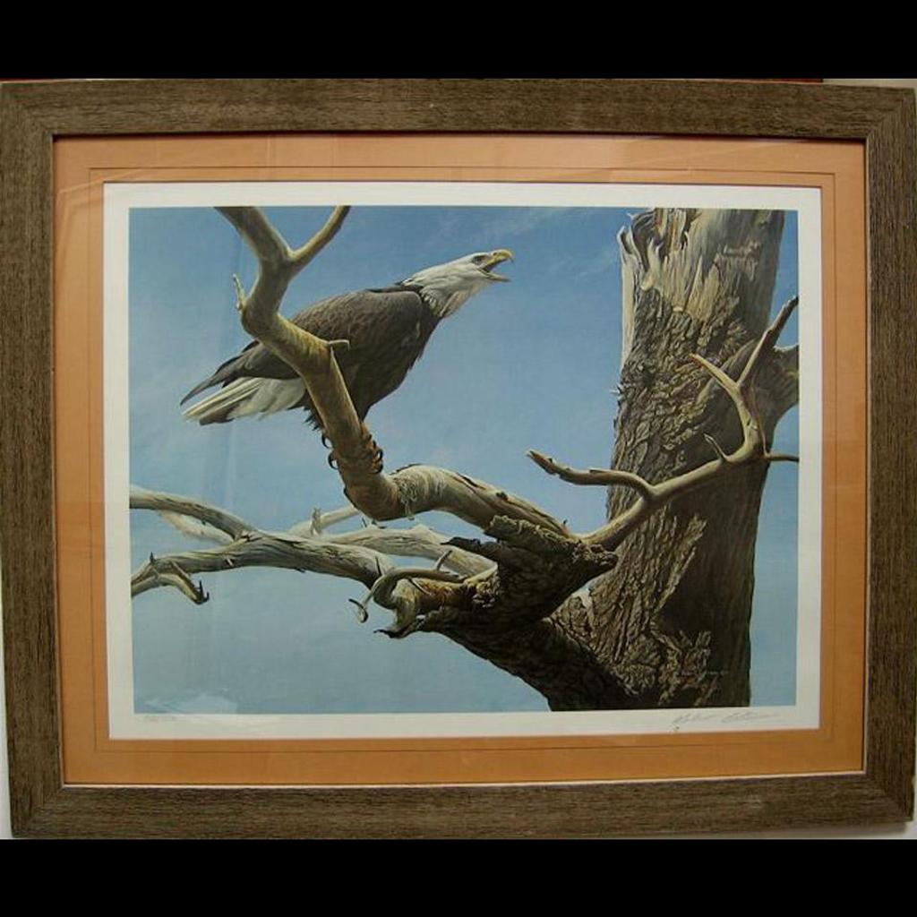 Robert Mclellan Bateman (1930-1922) - Call Of The Wild - Bald Eagle  Limited Edition Print 793/950