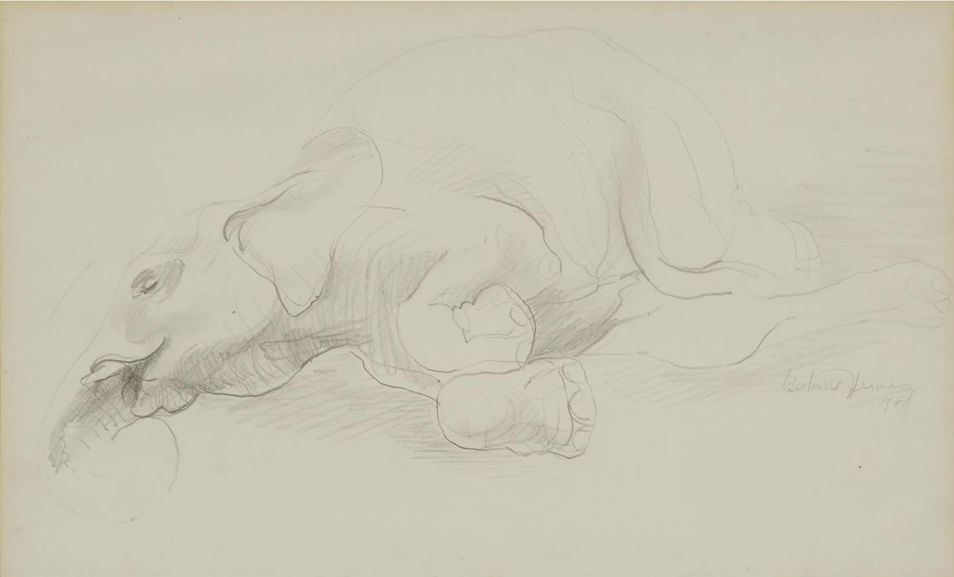 Gertrude Hermes (1901-1983) - Sleeping Elephant, 1948