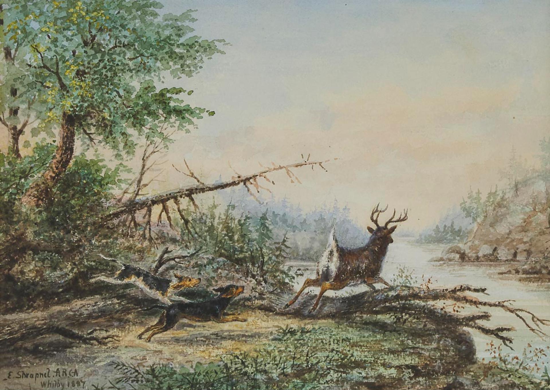 Edward Scrope Shrapnel (1847-1920) - Hunting Dogs Chasing A Deer, 1887