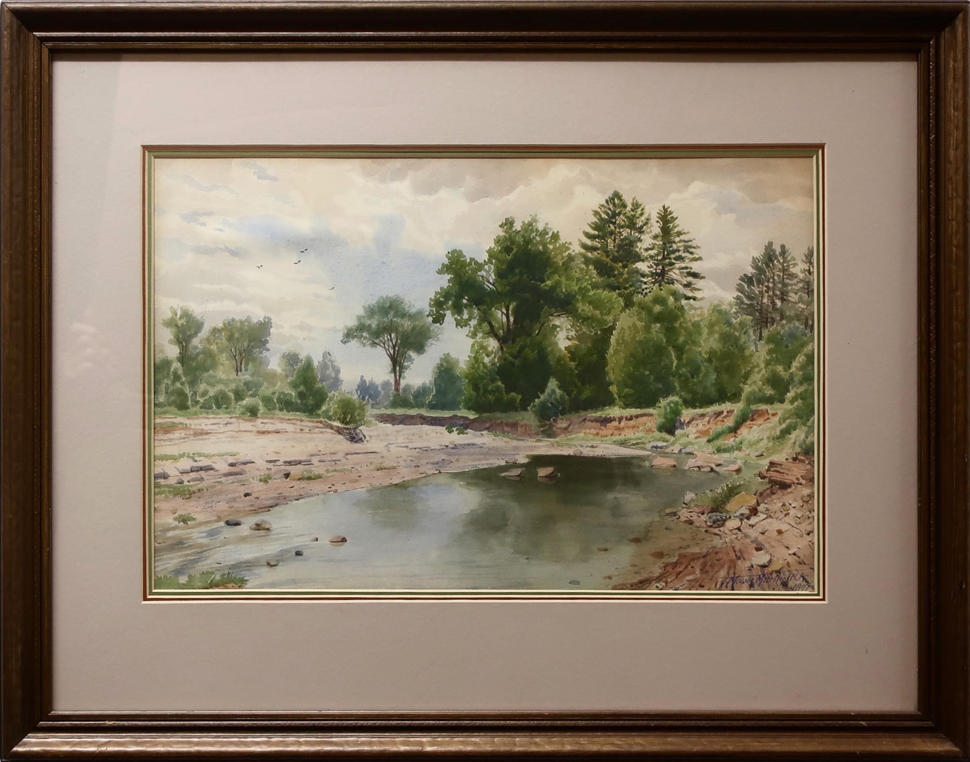 Thomas Mower Martin Osa - Untitled (Shallow Creek)