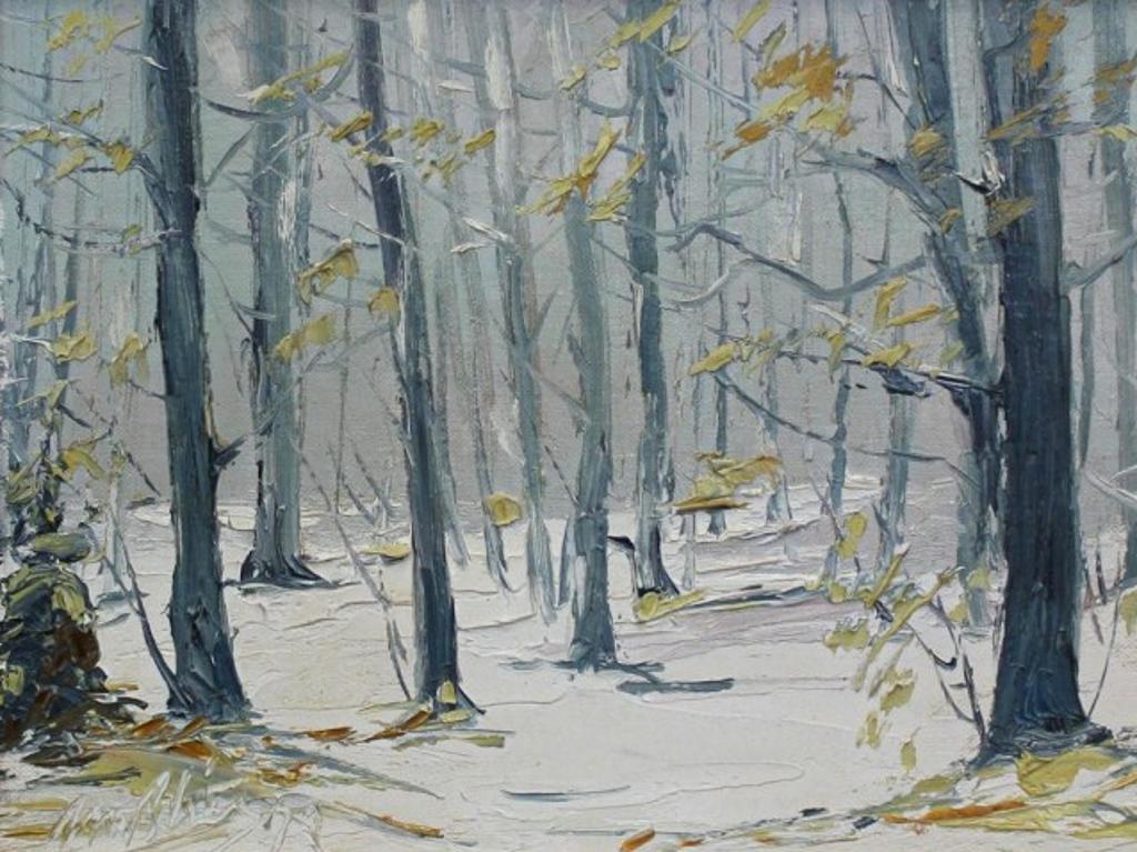 J.M Blier - Misty Winter Day