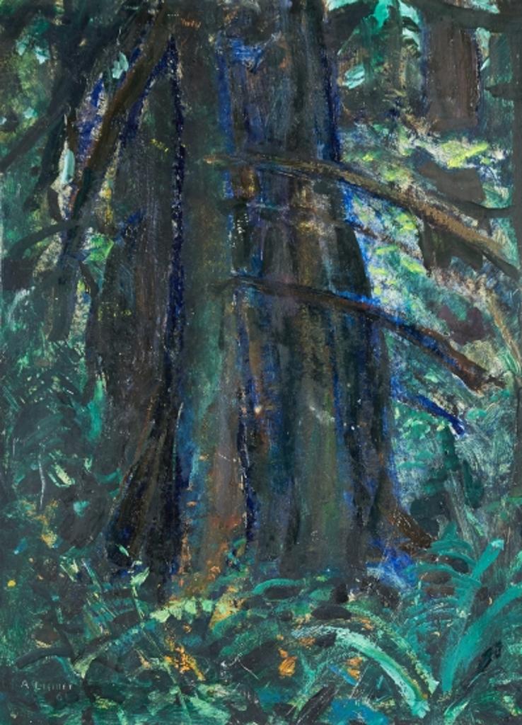 Arthur Lismer (1885-1969) - Dark Tree - B.C. Forest