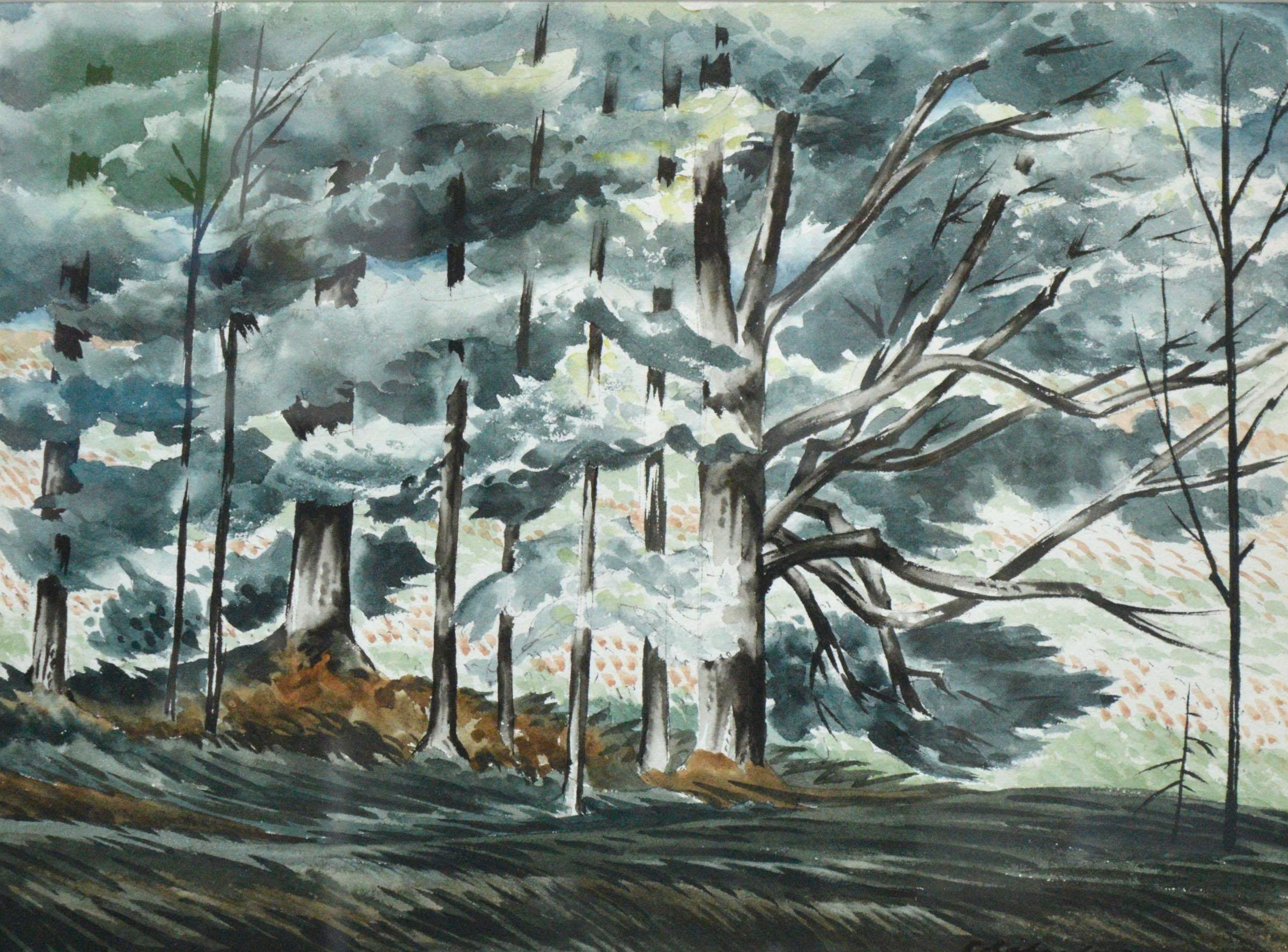 Carl Fellman Schaefer (1903-1995) - 
