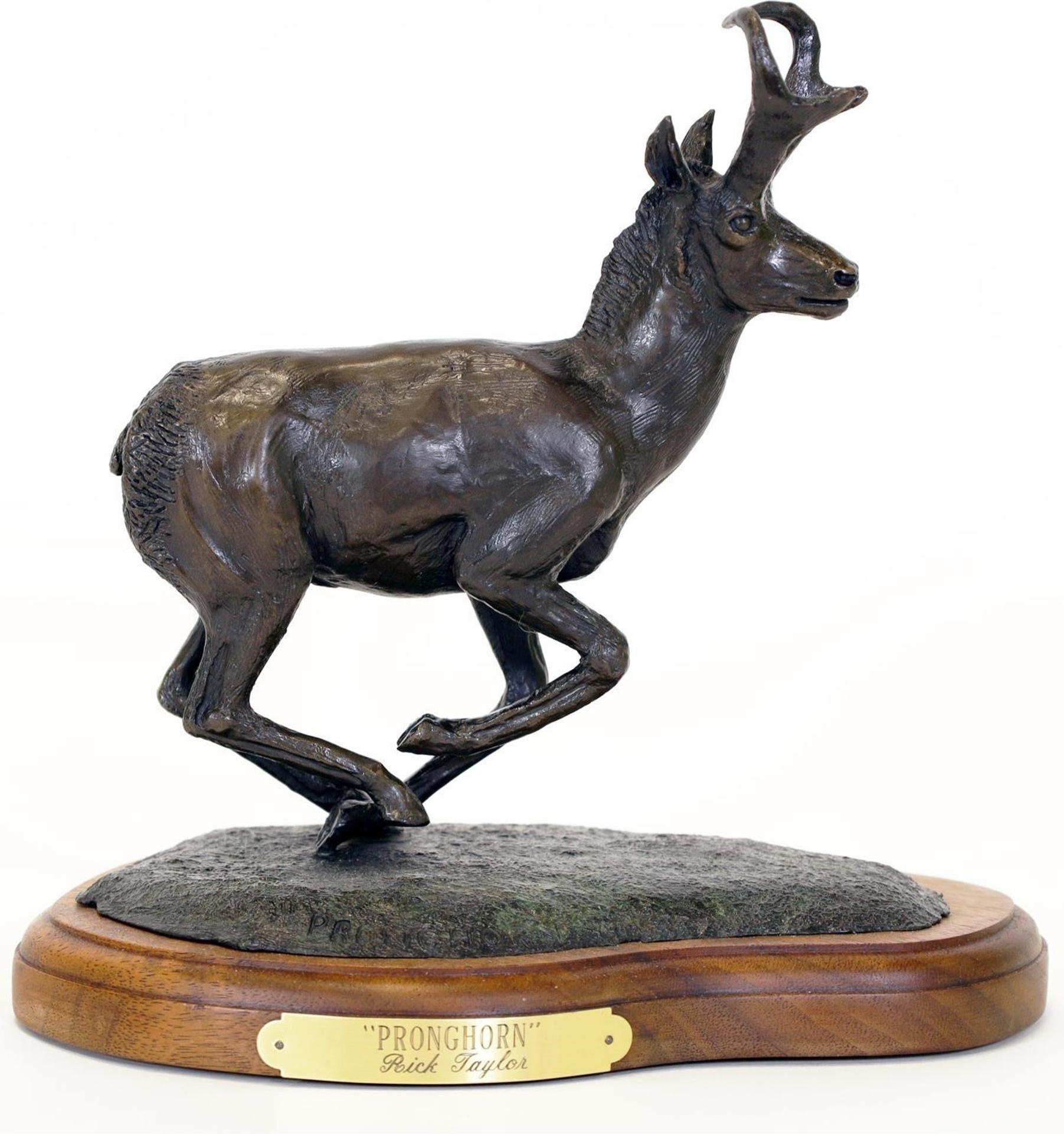 Rick Taylor (1950) - Pronghorn; 1984