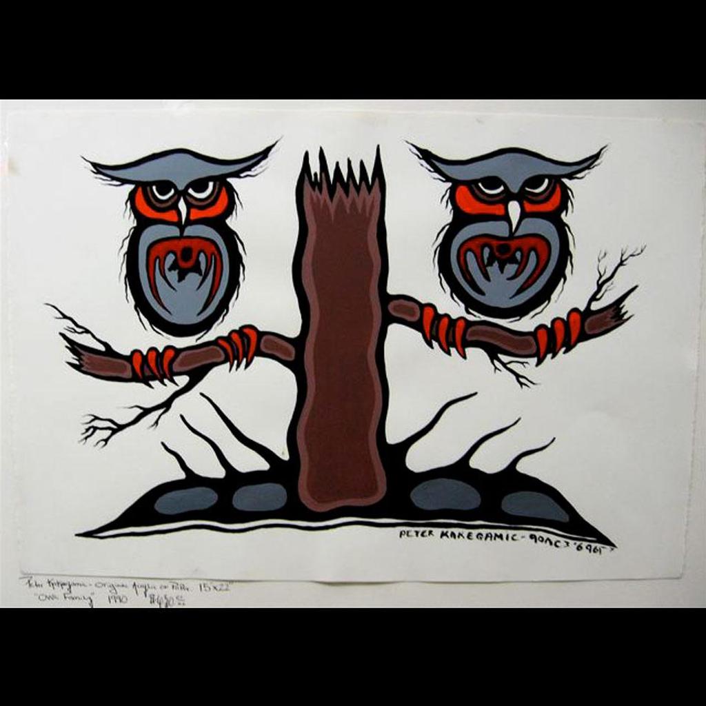 Peter Kakegamic - Owl Family