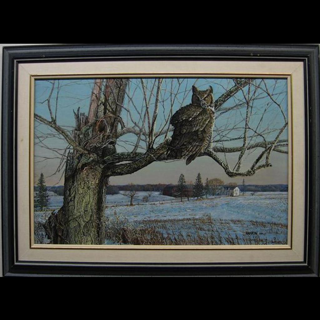 Paul Rankin (1967) - Perched Owl - Winter
