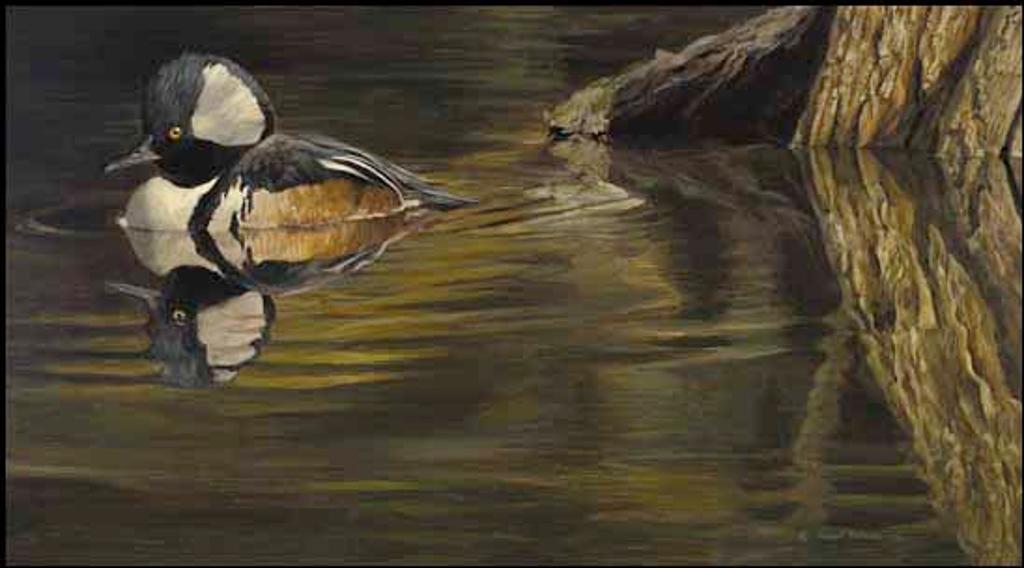 Robert Mclellan Bateman (1930-1922) - Hooded Merganser