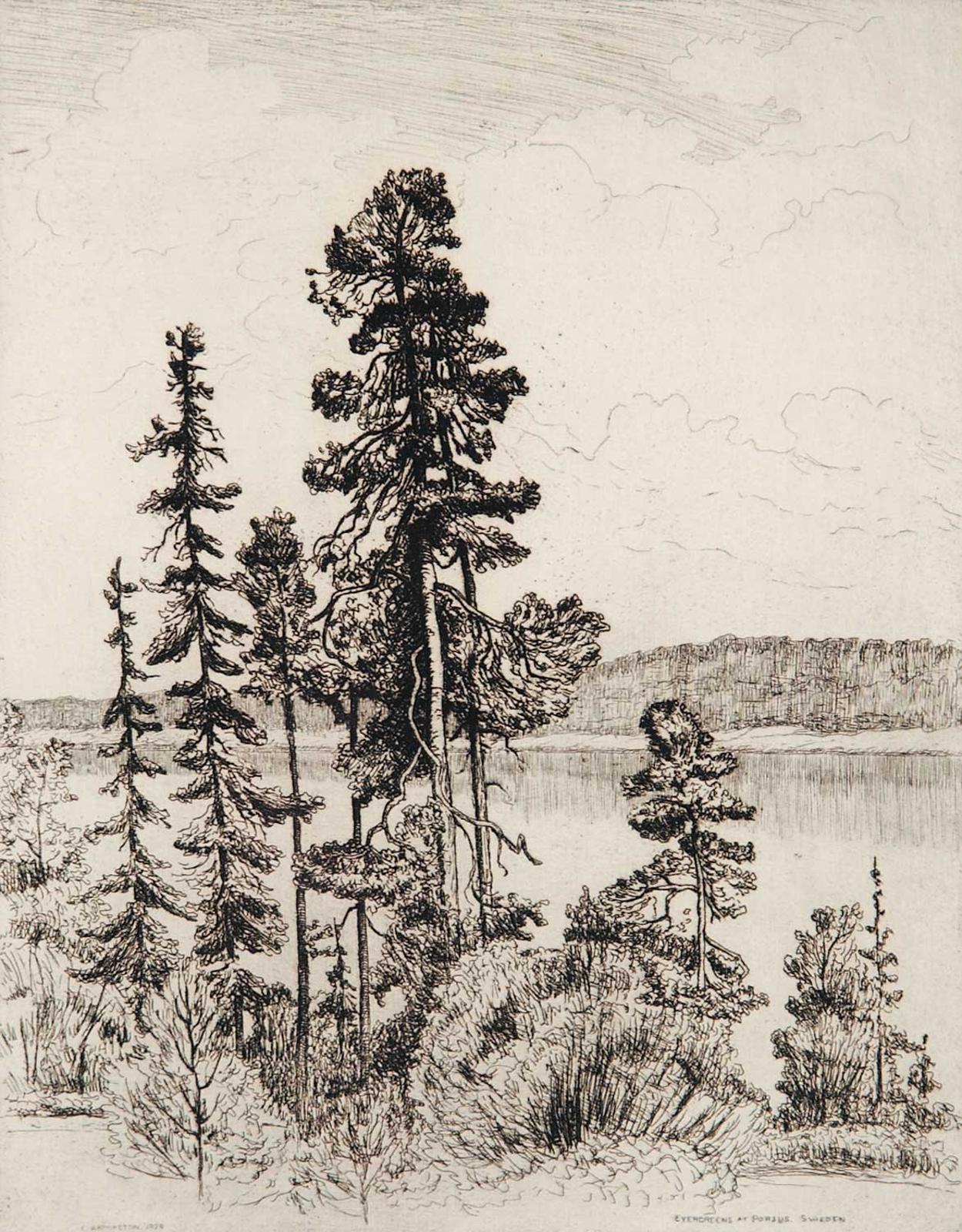 Caroline Helena Armington (1875-1939) - Evergreens at Porjus, Sweden