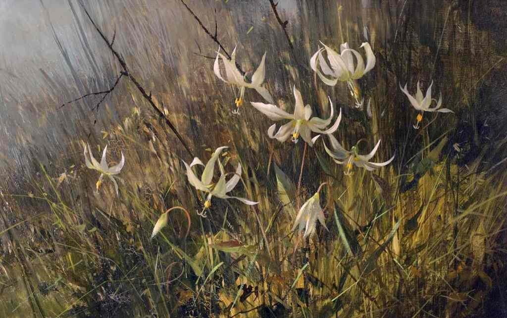Geoffrey Allan Rock (1923-2000) - Fawn Lilies