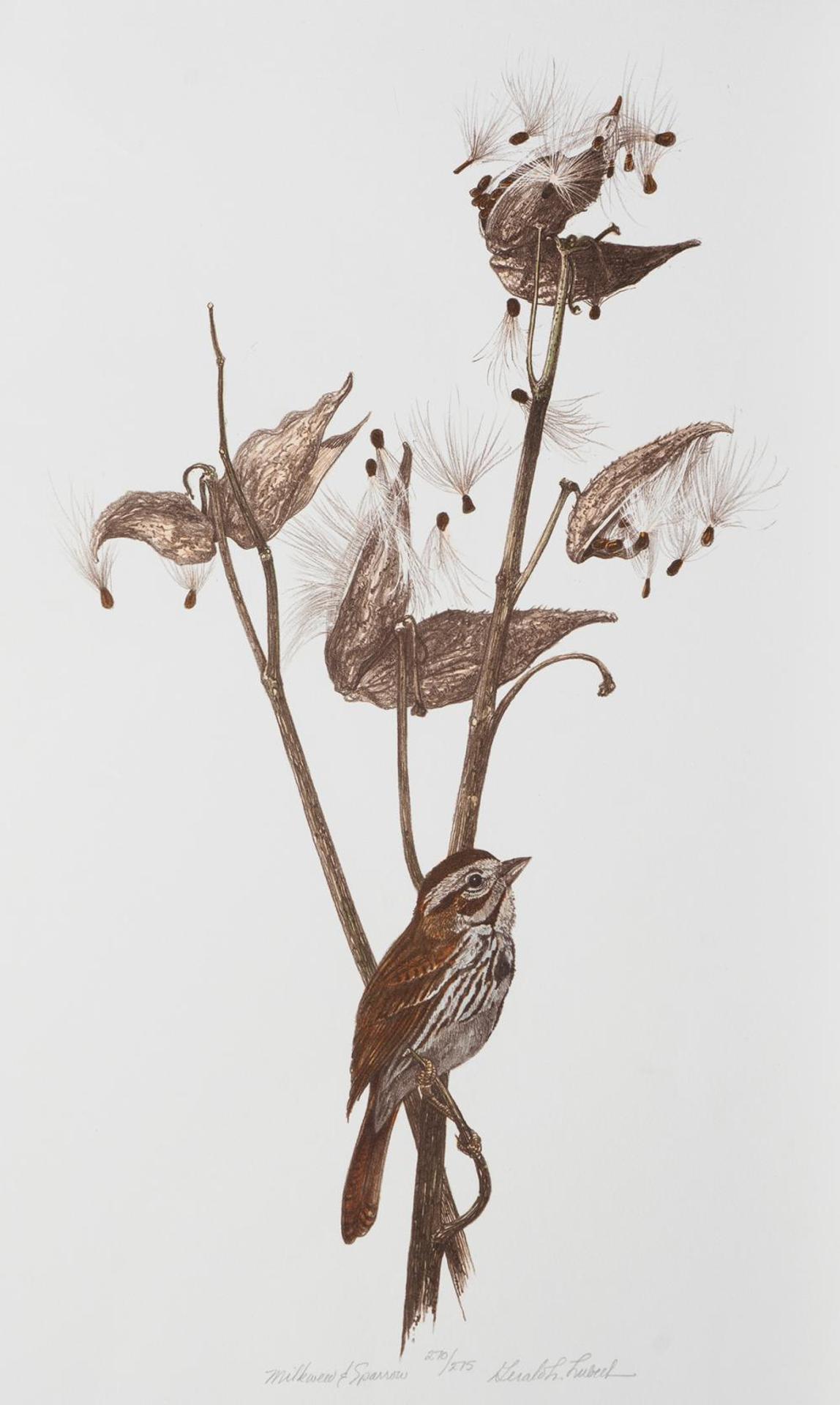 Gerald Lubeck (1942-2019) - Milkweed and Sparrow