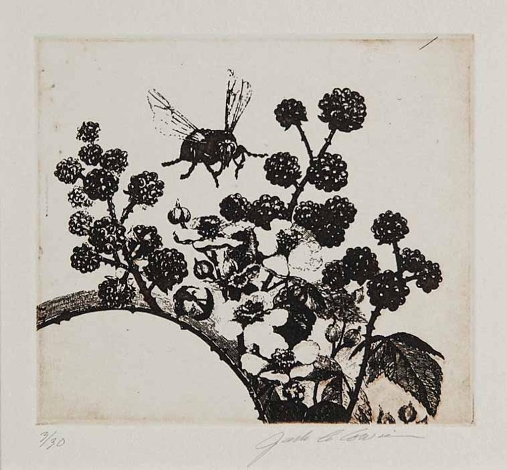 Jack Lee Cowin (1947-2014) - Untitled - Raspberry Bush with Bee  #3/30