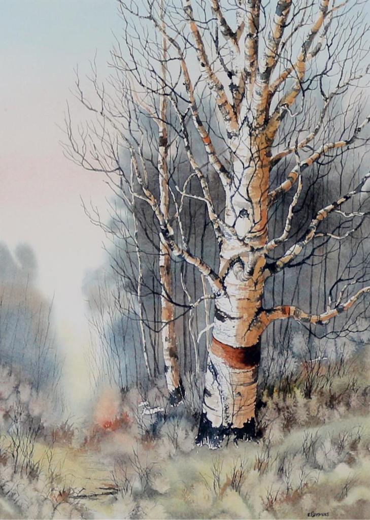Earl Cummins (1922-2012) - Birch Trees