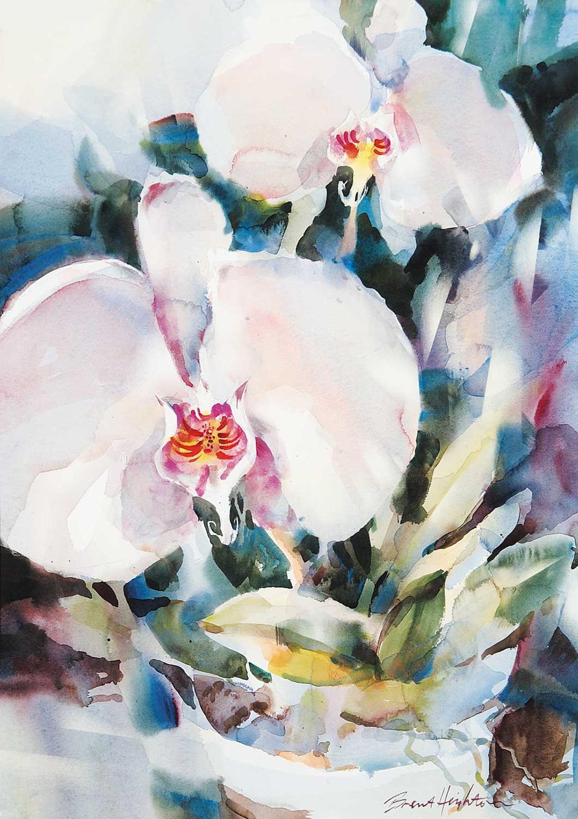 Brent Heighton (1954) - Untitled - Spring Bloom