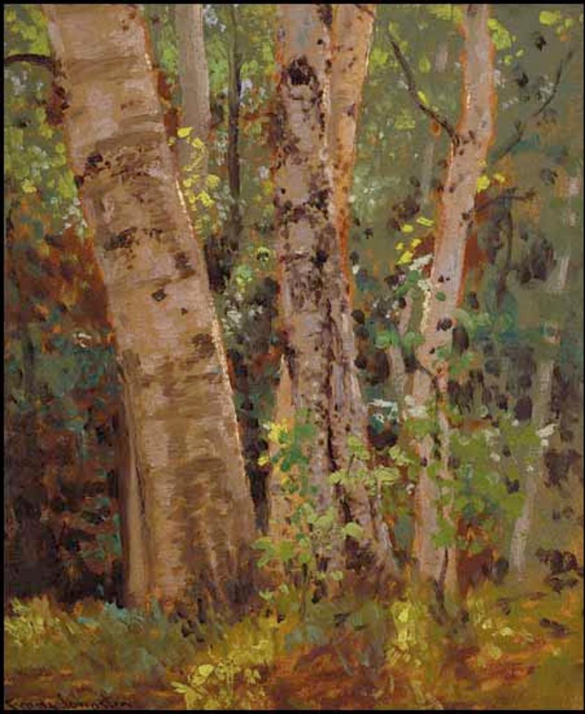 Frank (Franz) Hans Johnston (1888-1949) - Group of Birches