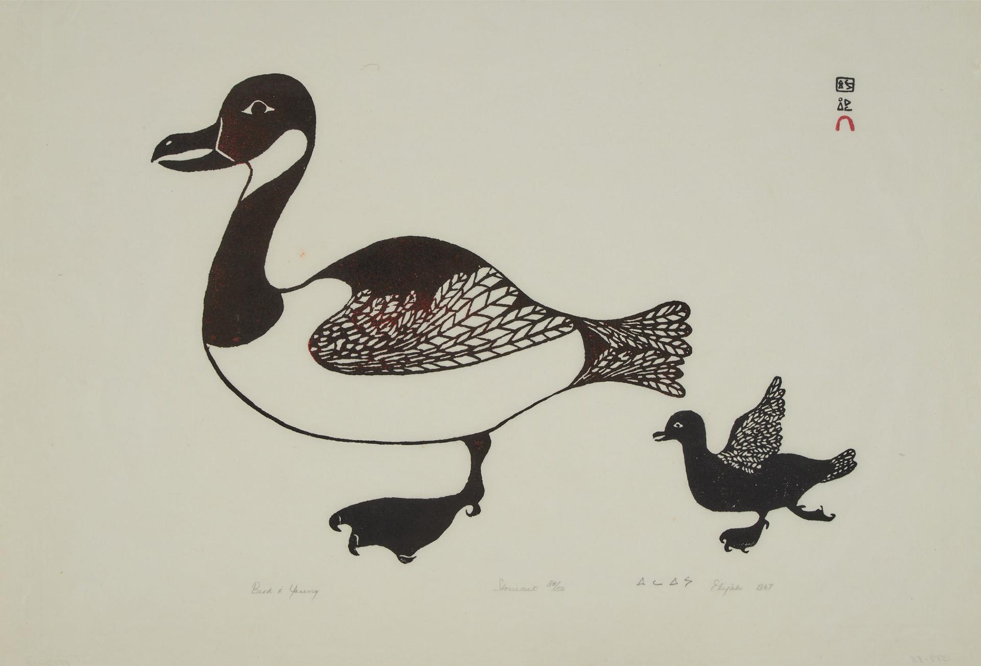 Elijah Pootoogook (1943) - Bird And Young, 1967