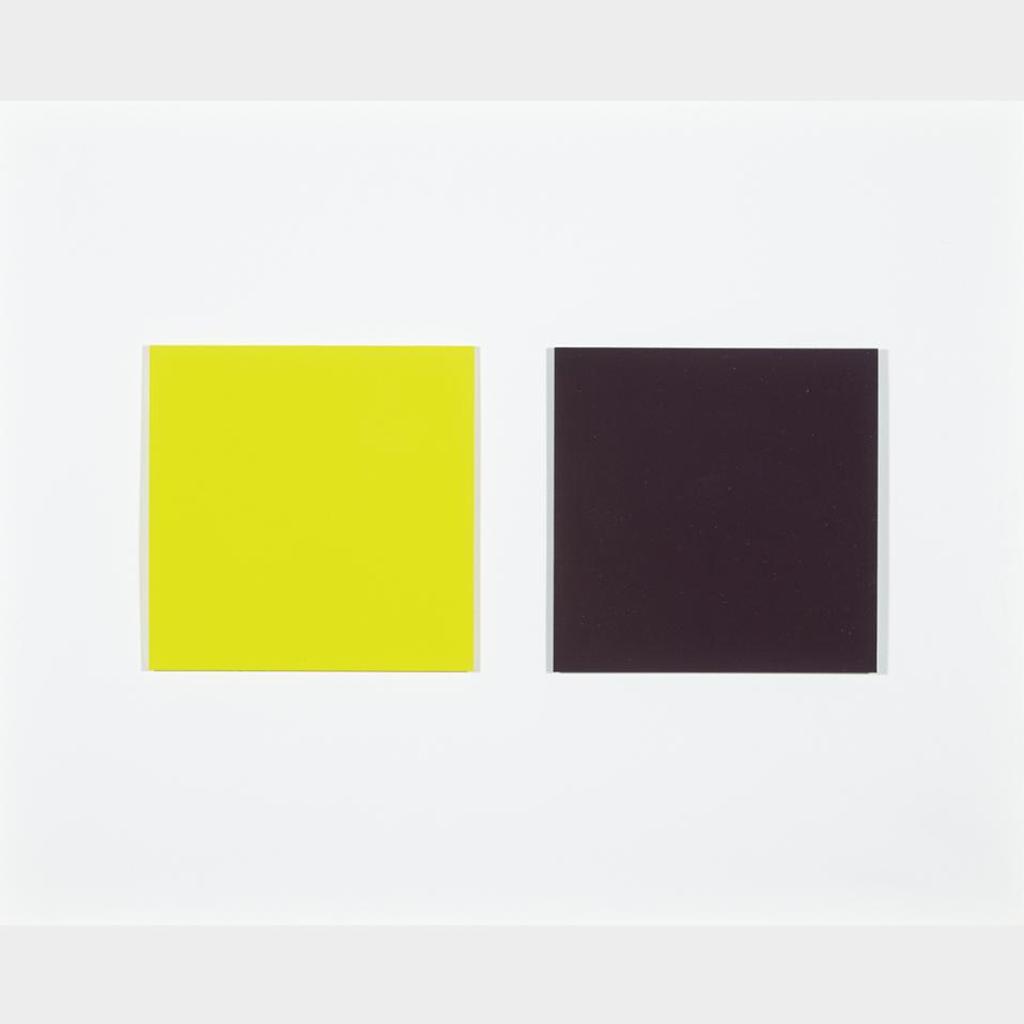 Claude Tousignant (1932) - Diptych - Monochrome Jaune And Monochrome Foncé, 1995