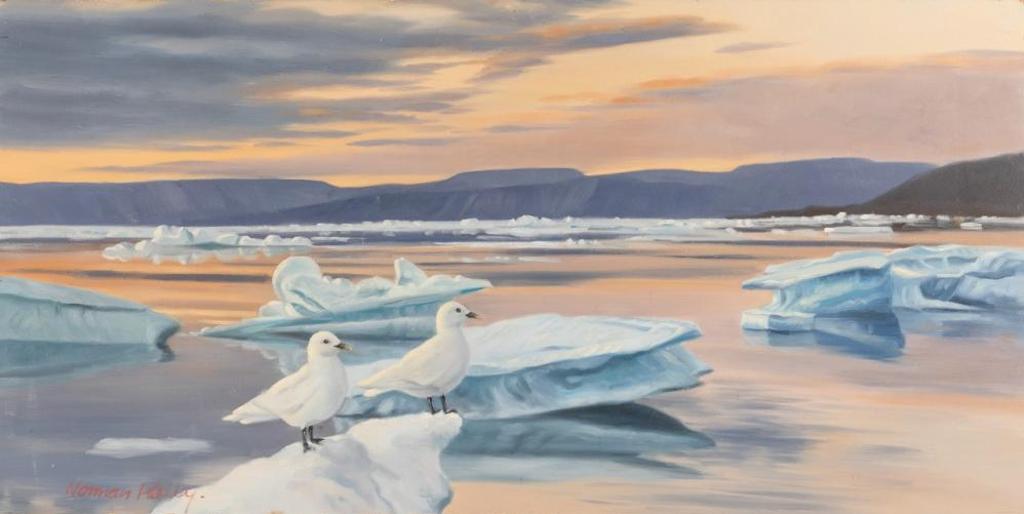 Norman Kelly (1939) - Ivory Gulls