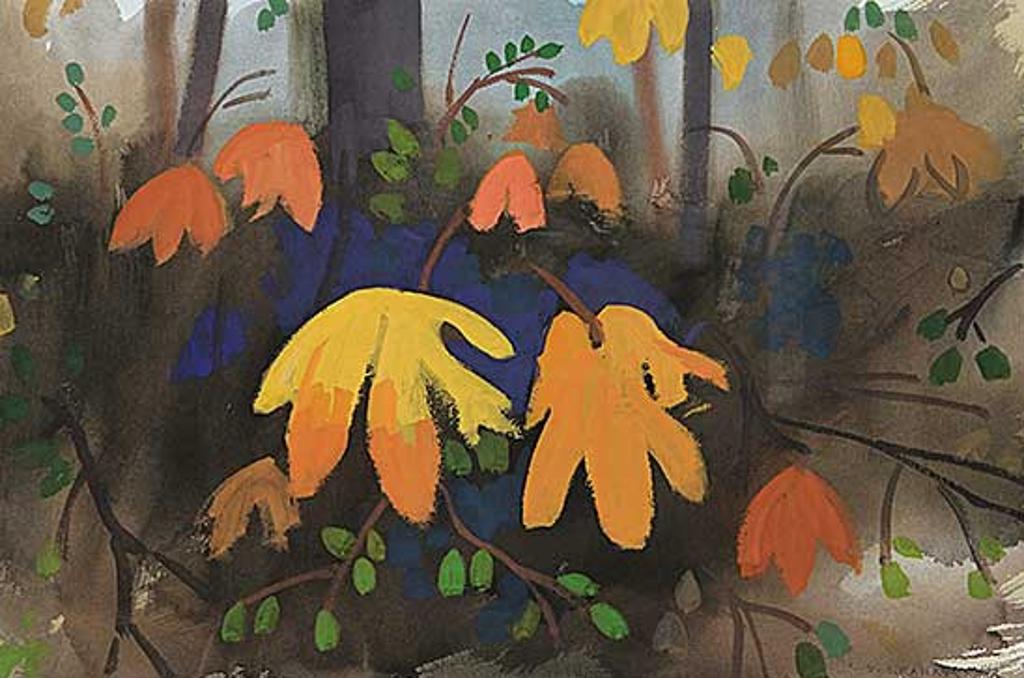 Colin D. Graham (1915-2010) - Underbrush