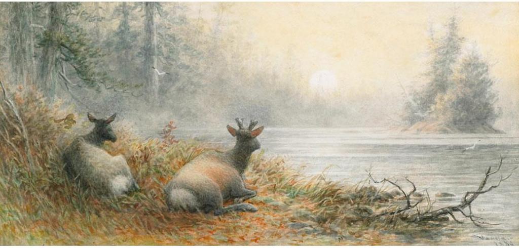 Frederick Arthur Verner (1836-1928) - Caribou Resting