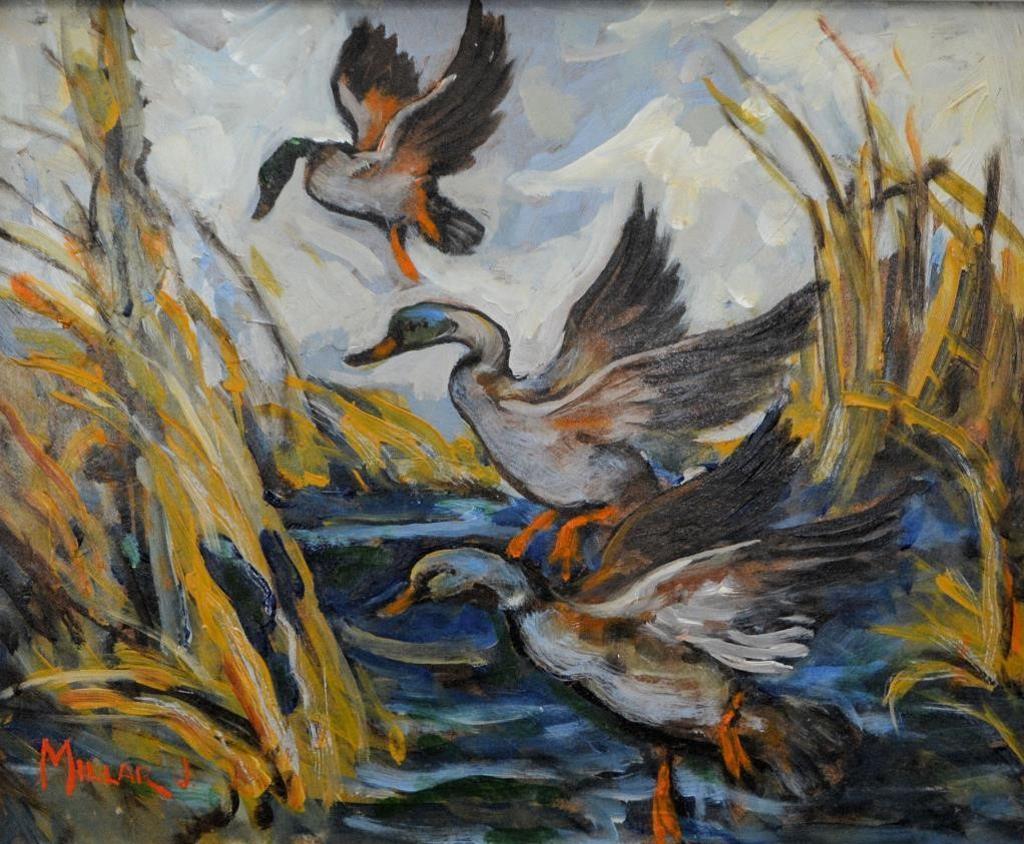 James Millar (1897-1977) - Wild Ducks