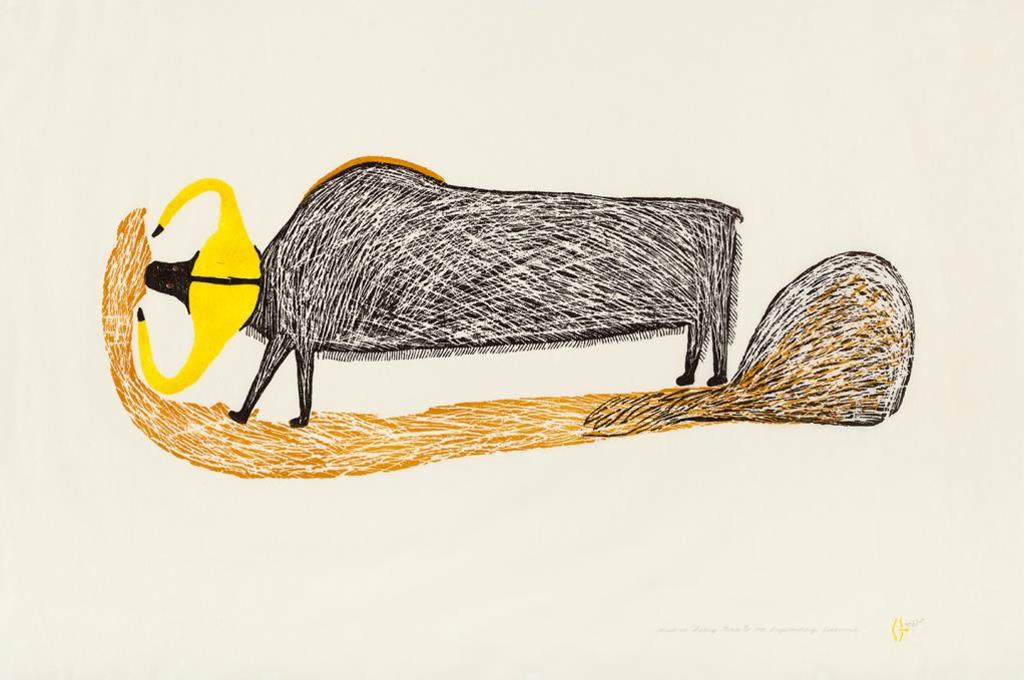 Luke H.Amitnaaq Anguhadluq (1895-1982) - Musk-ox Eating Grass, 1973 #16, stonecut and stencil, 9/50, framed, 25 x 37 in, 63.5 x 94 cm