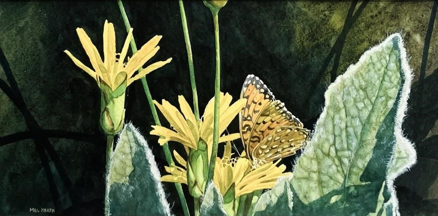 Melvin Mel Heath - watercolour on paper