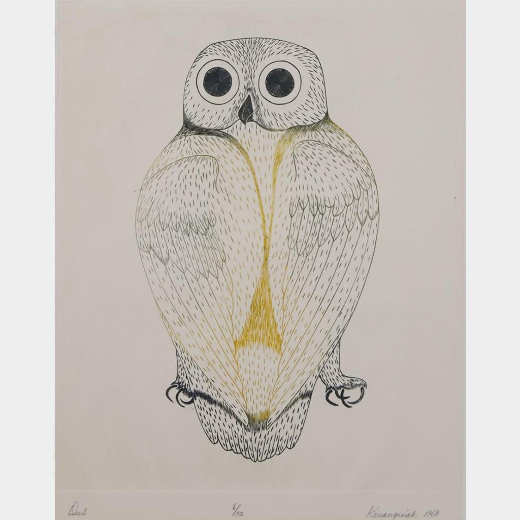 Kananginak Pootoogook (1935-2010) - Owl