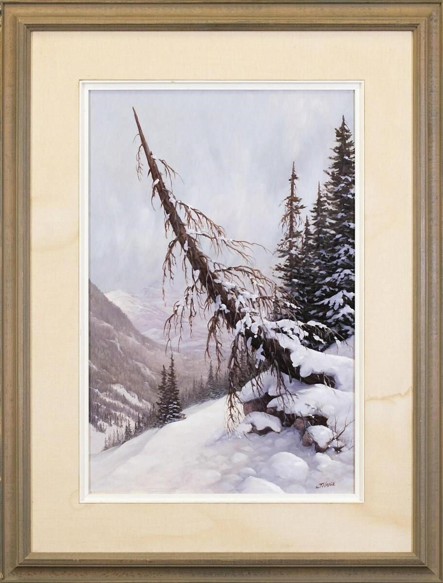 Joe Haire - Winter Woods Near Revelstoke B.C.; 1993