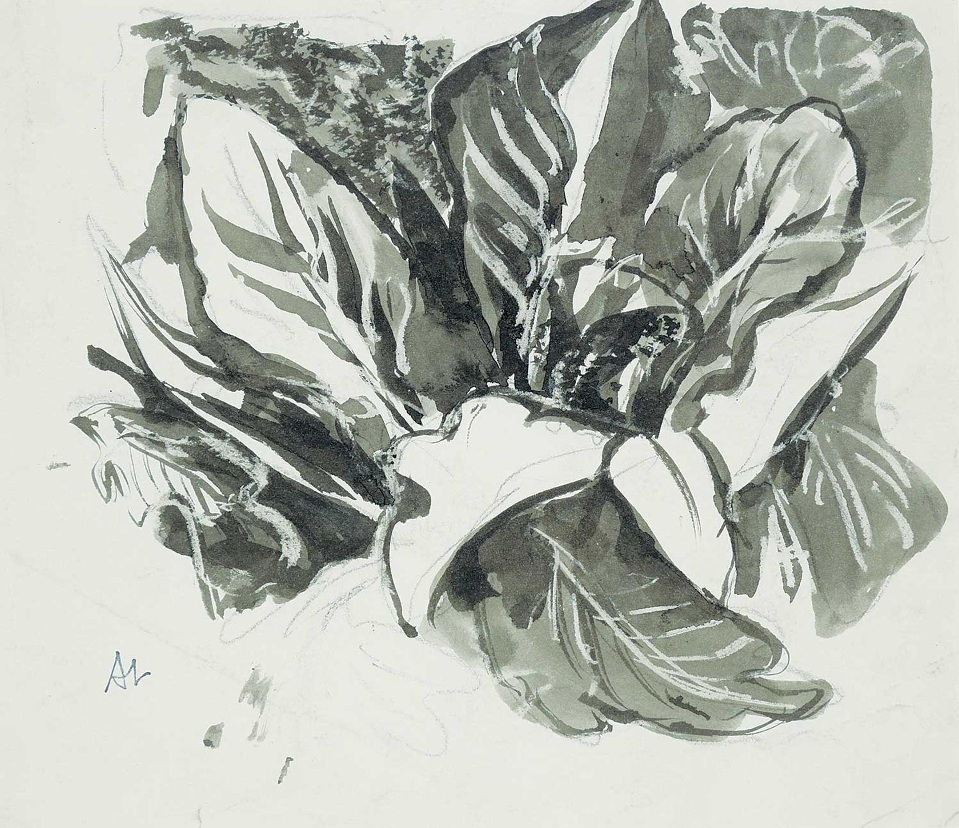 Arthur Lismer (1885-1969) - Untitled - Skunk Cabbage Study