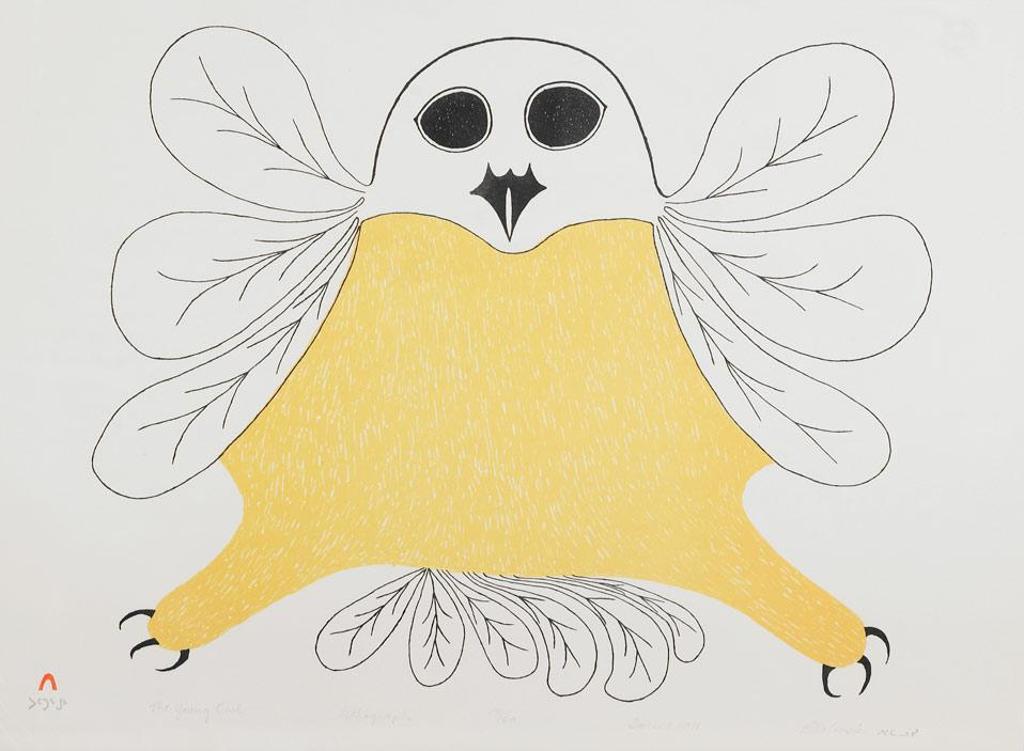 Pitaloosie Saila (1942-2021) - The Young Owl