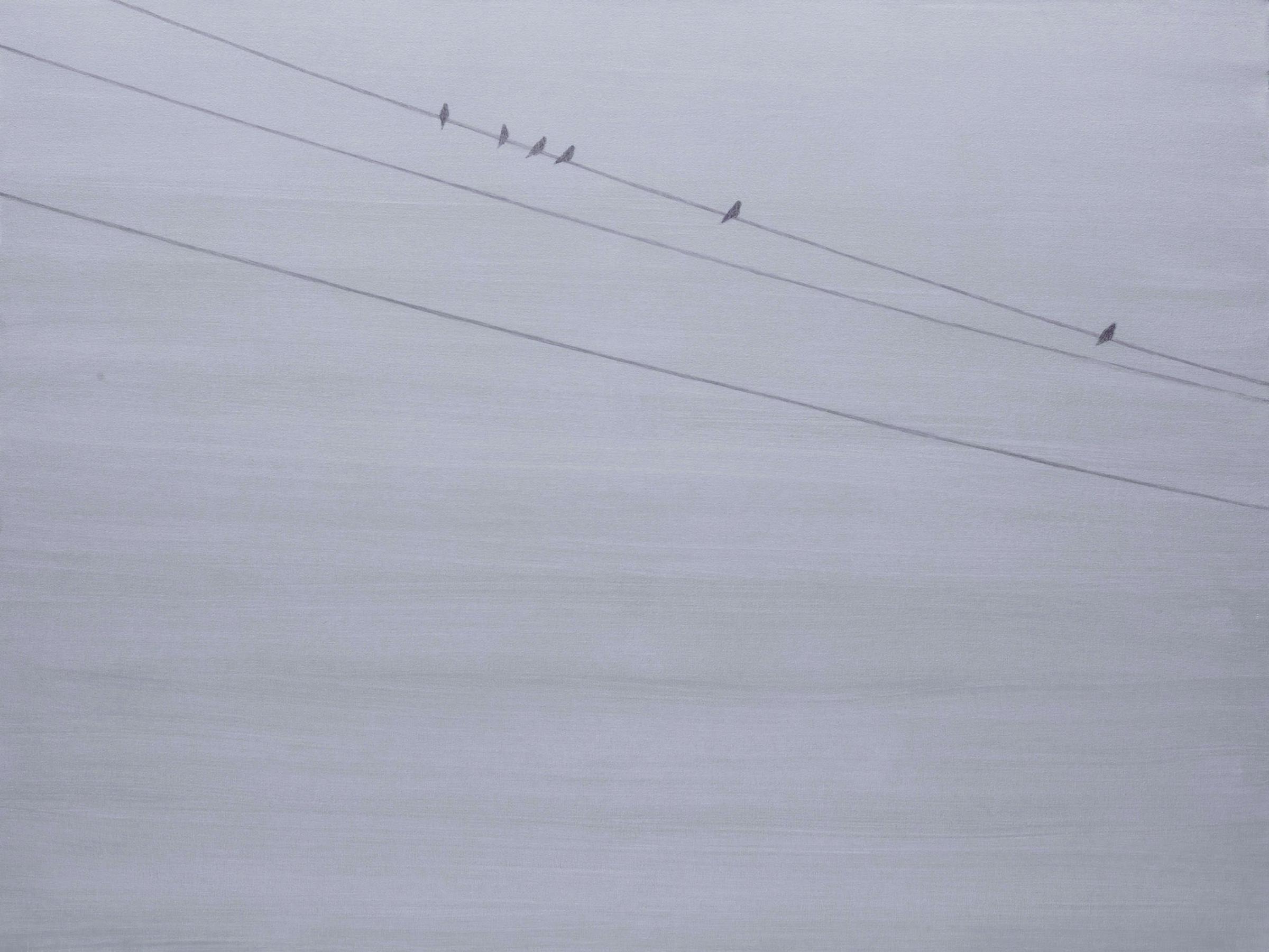 Nick Ostoff (1974) - Birds #2