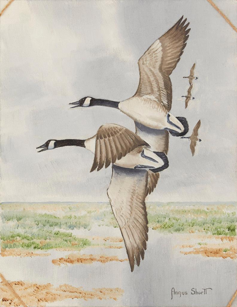 Angus Henry Shortt (1908-2006) - Giant Canada Goose