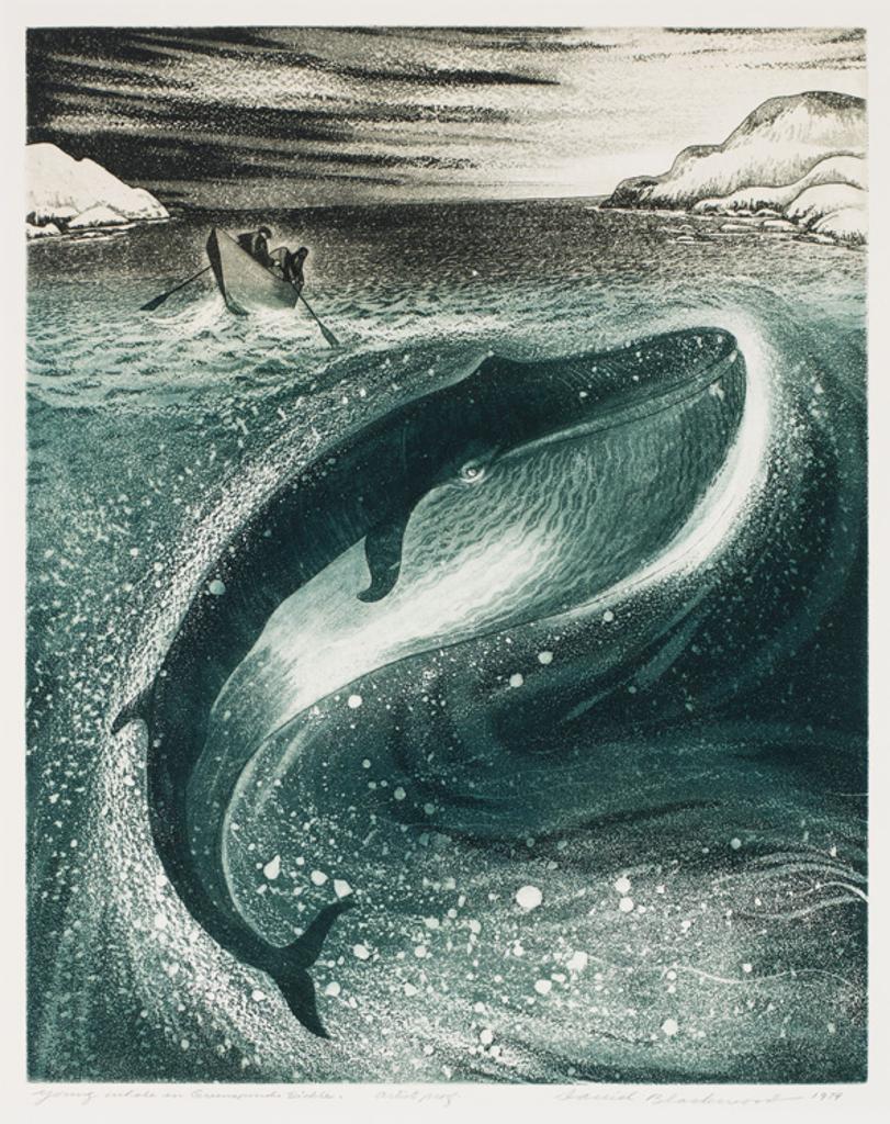 David Lloyd Blackwood (1941-2022) - Young Whale in Greenspond Tickle