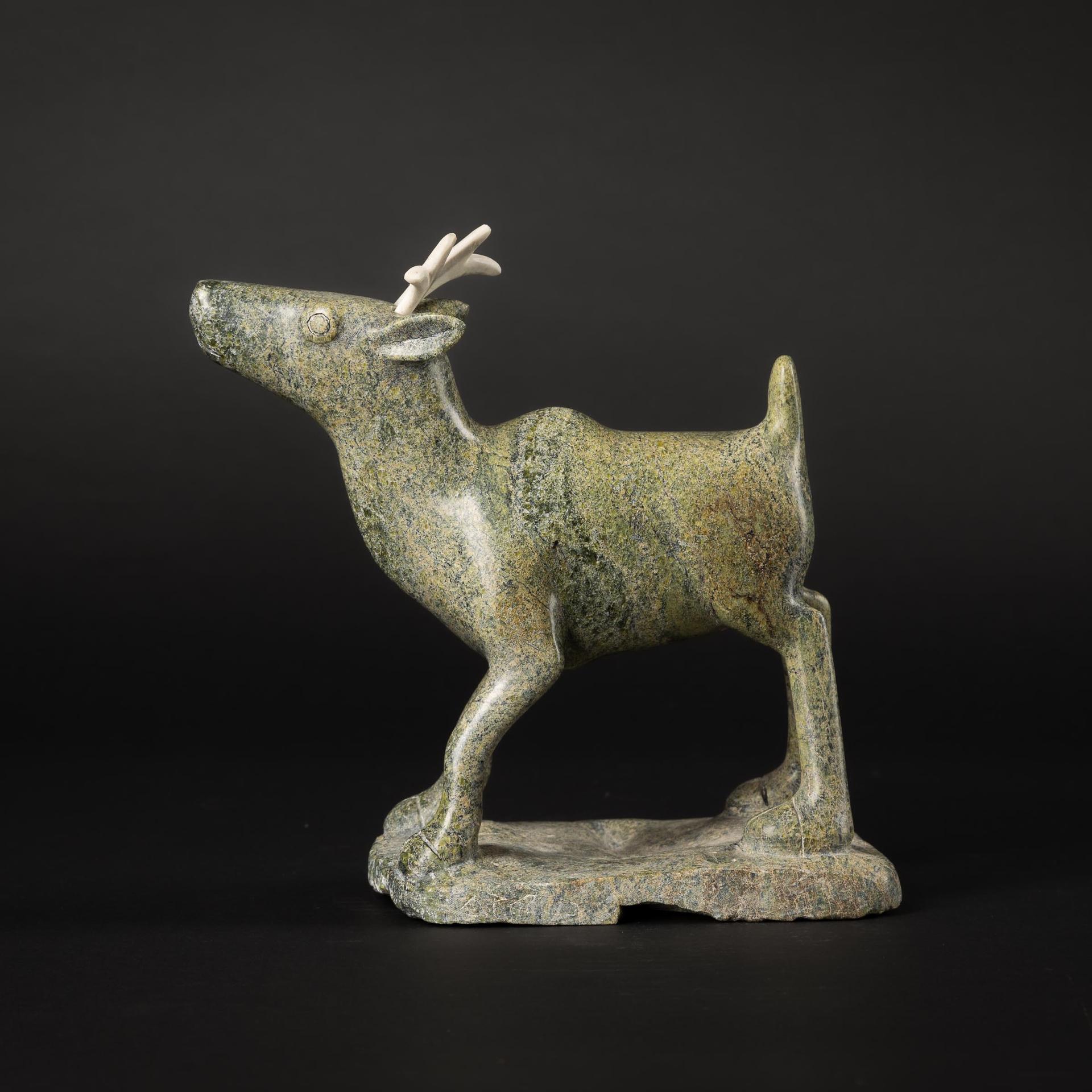 Eegyvudluk Pootoogook (1931-1999) - Baby Caribou