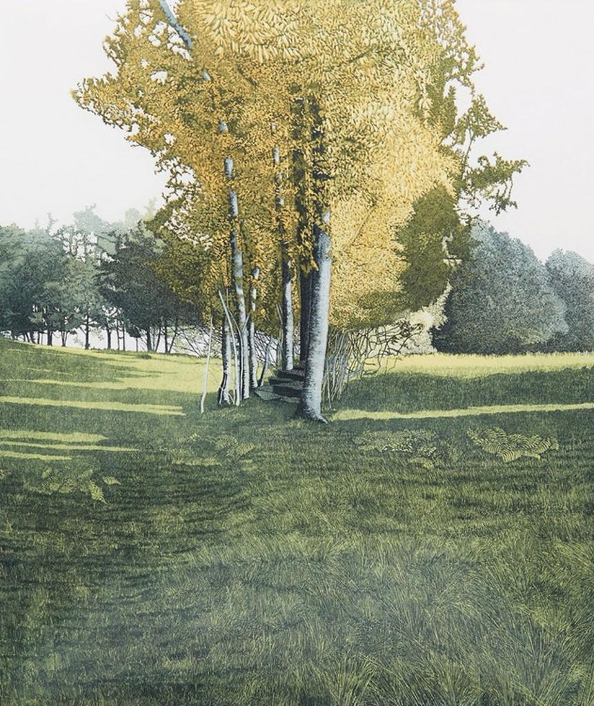 Phil Greenwood (1943) - Saplings