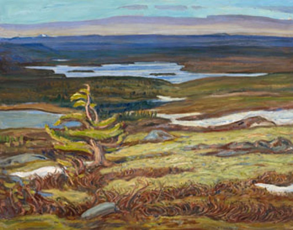 Alexander Young (A. Y.) Jackson (1882-1974) - Summer Landscape, Labrador
