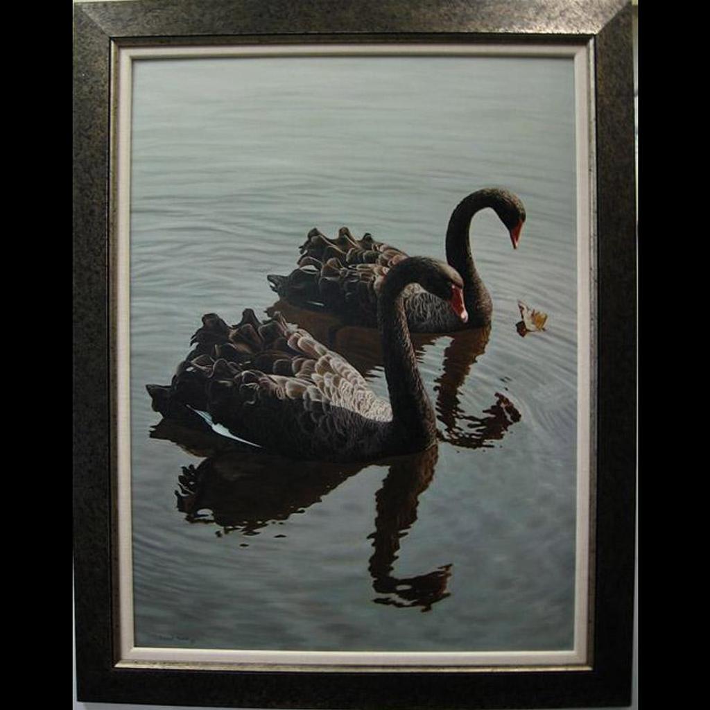 Richard Mravik (1973) - Black Swan Companions