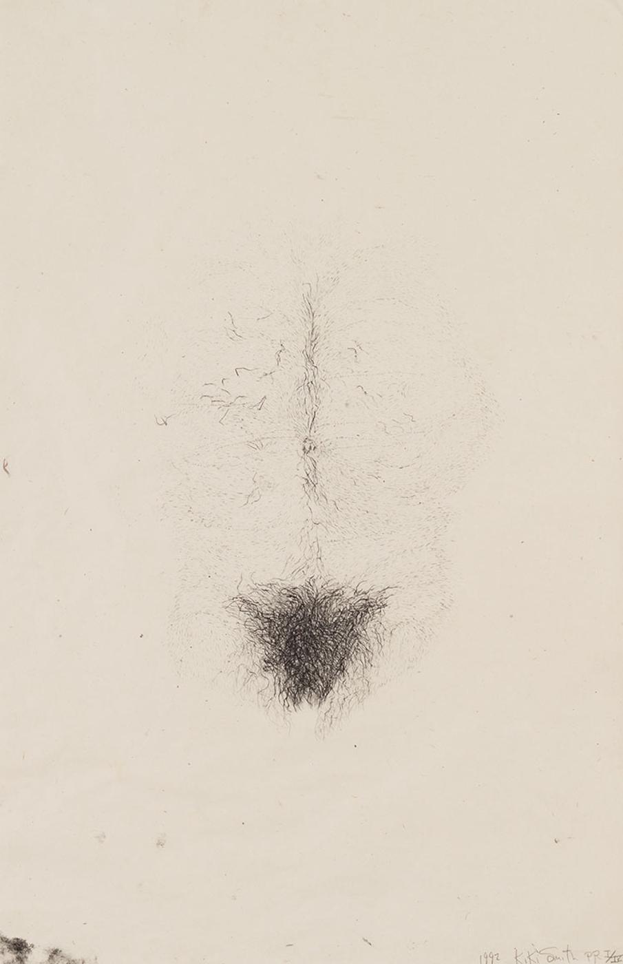 Kiki Smith - Torso