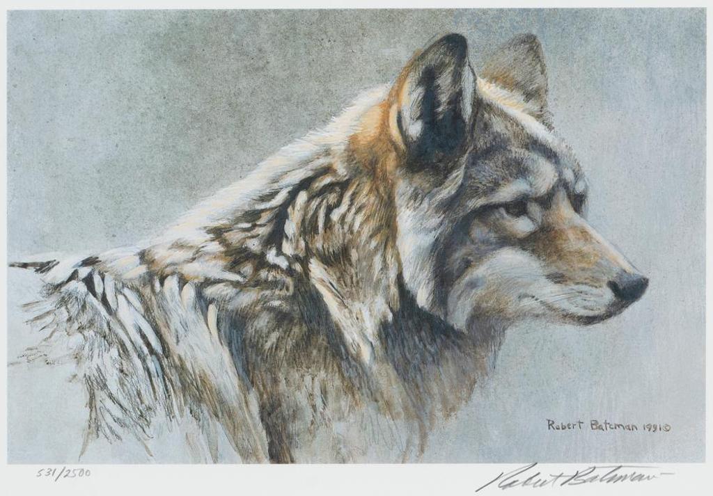 Robert Mclellan Bateman (1930-1922) - Coyote Head Study