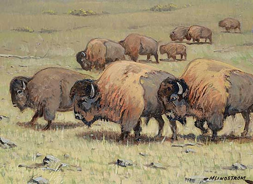 Matt Lindstrom (1890-1975) - Untitled - Grazing Bison